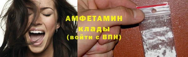 твердый Абаза