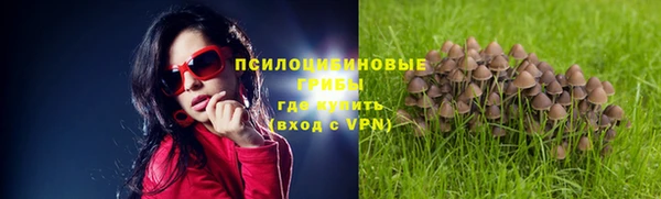 твердый Абаза