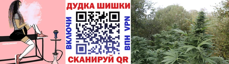 МАРИХУАНА план купить наркотики цена Горячеводский